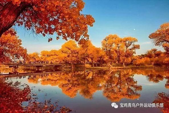 大运河沟通了南北交通促进了什么